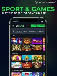 333 pixbet 