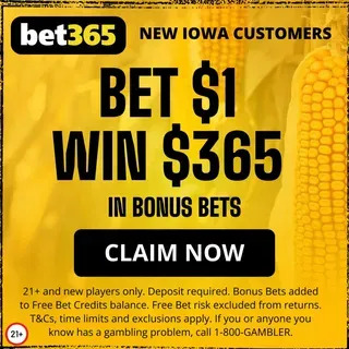 365bet plataforma 