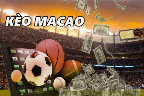 bet 1xbet 