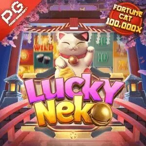 cc999.com fortune rabbit 