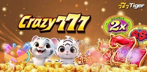contador bingo online 